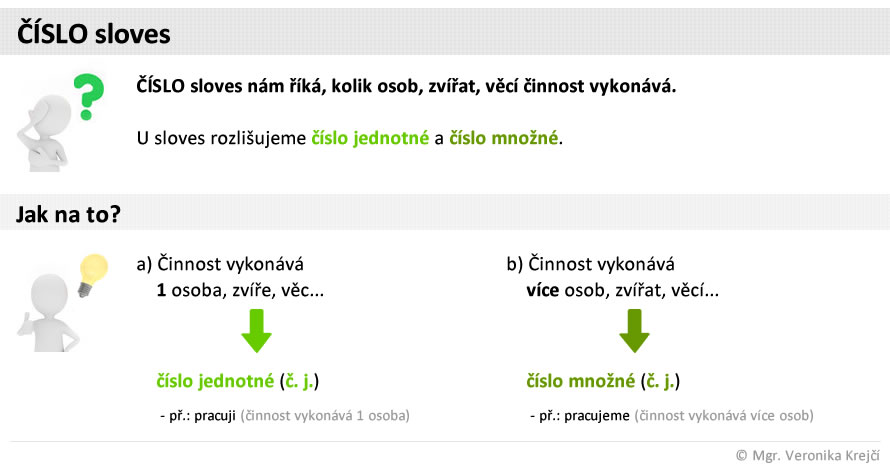 cj slovesa cislo