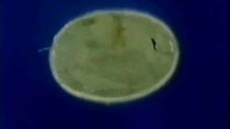 blecha obecna03