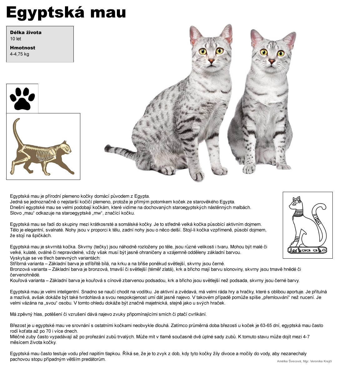 kocka egypska mau