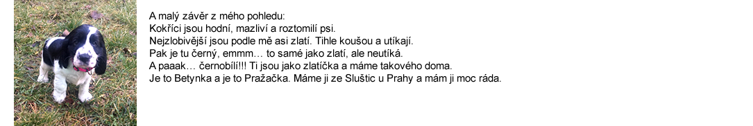 kokrspanel anglicky2