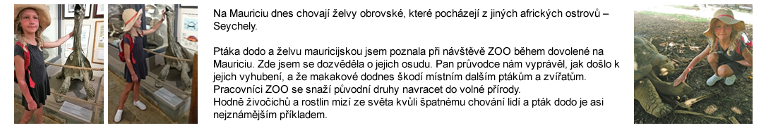 zelva obrovska2