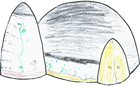 hydroponie