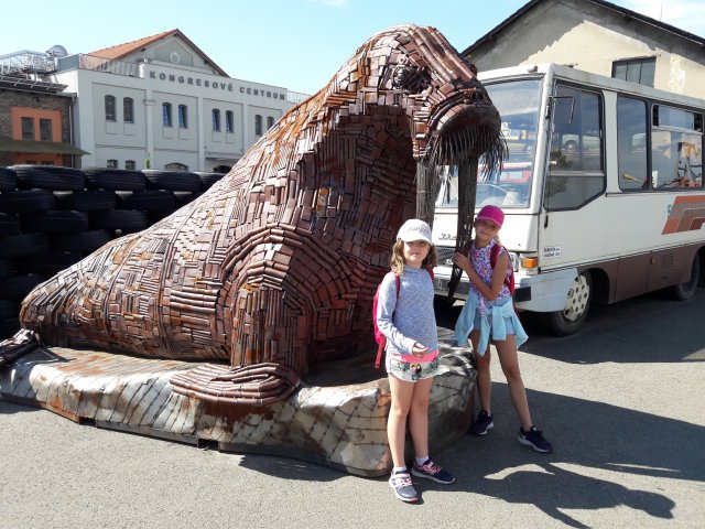 20190624_095344