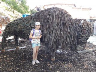 20190624_094530