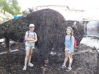 20190624_094536