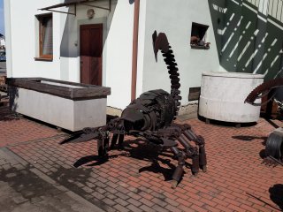 20190624_094720