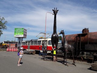 20190624_095555