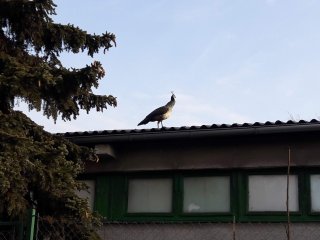 20191219_104425