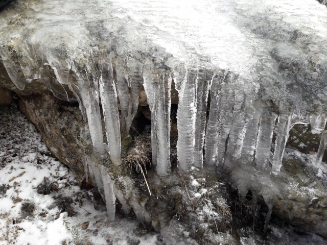 20190326_093221