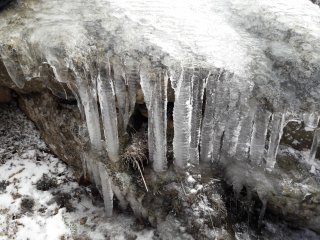 20190326_093221