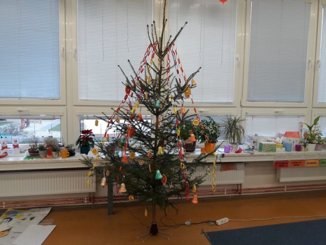 20181217_104641