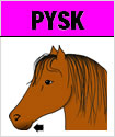 vs p03